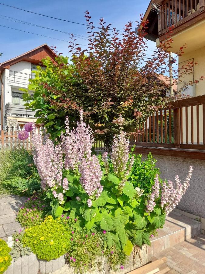 Harmonia Vendeghaz 100 Meterre Az Igali Gyogyfuerdotol Appartement Buitenkant foto
