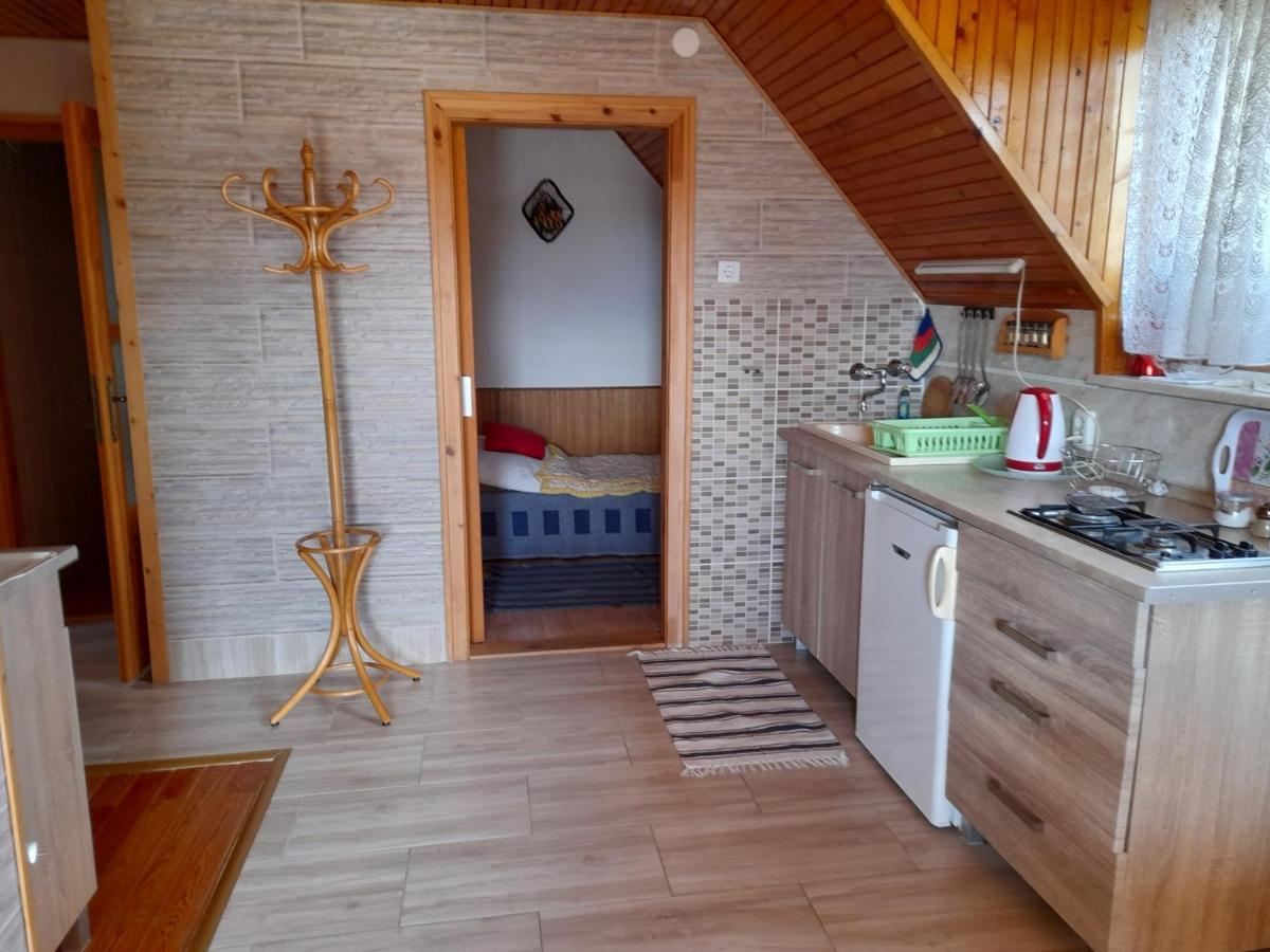 Harmonia Vendeghaz 100 Meterre Az Igali Gyogyfuerdotol Appartement Buitenkant foto