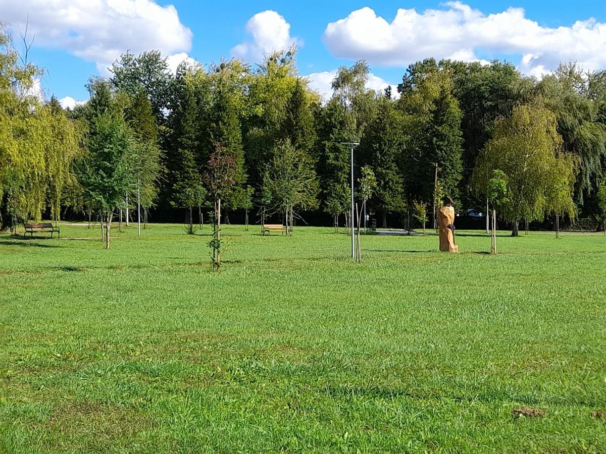 Harmonia Vendeghaz 100 Meterre Az Igali Gyogyfuerdotol Appartement Buitenkant foto