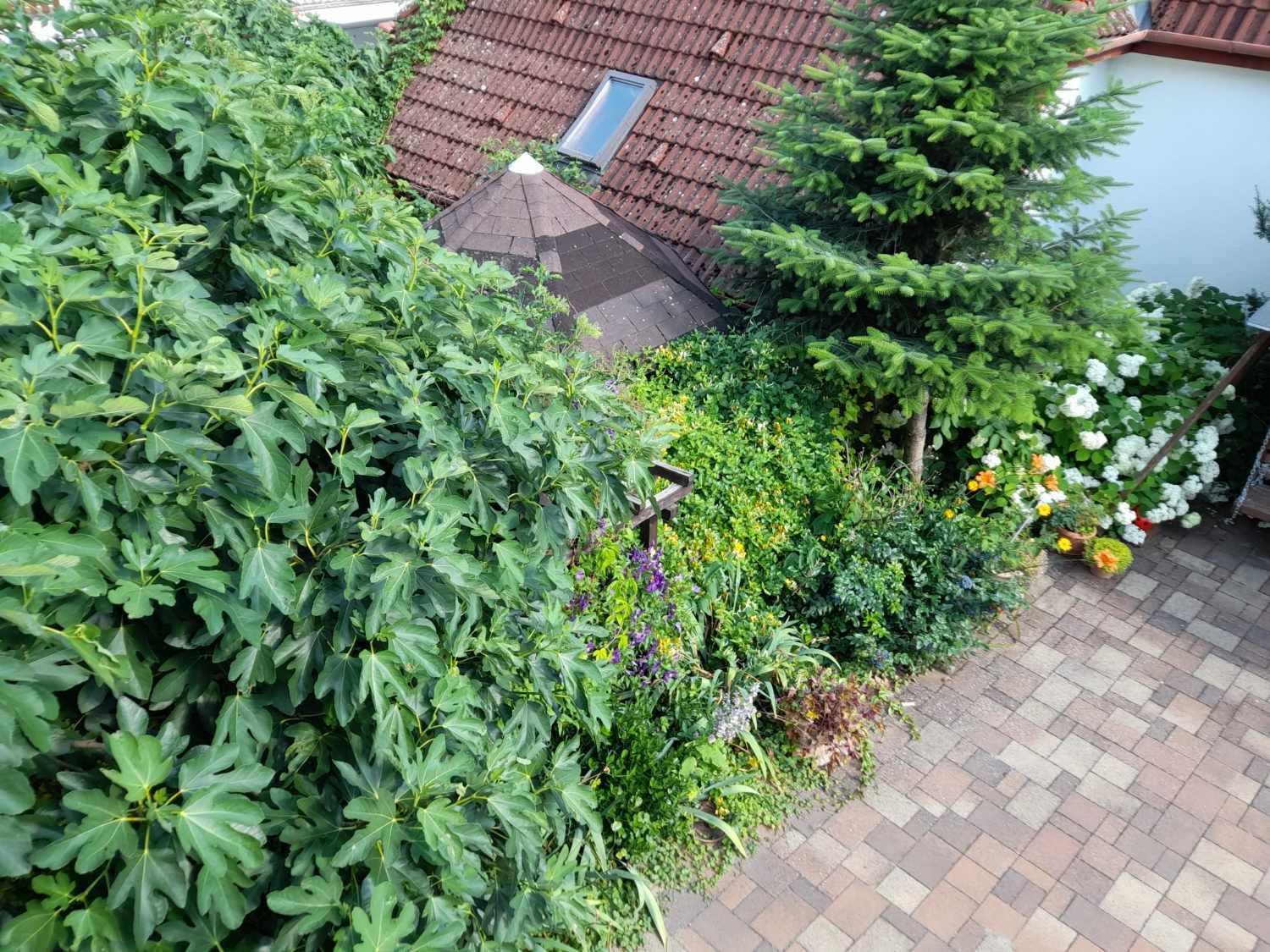 Harmonia Vendeghaz 100 Meterre Az Igali Gyogyfuerdotol Appartement Buitenkant foto