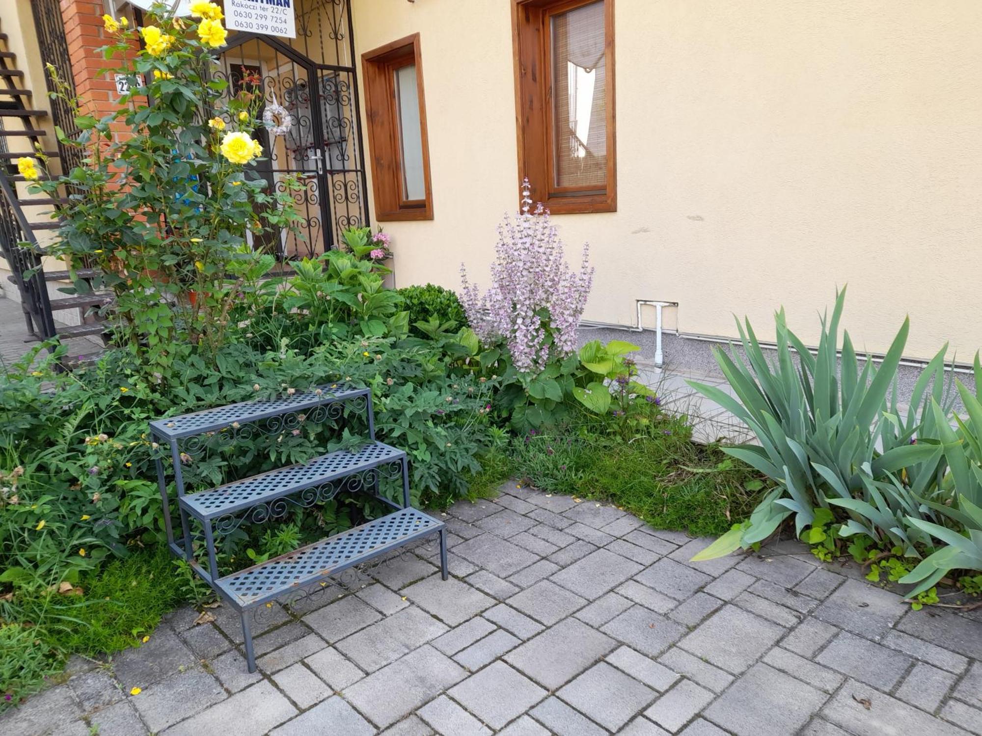 Harmonia Vendeghaz 100 Meterre Az Igali Gyogyfuerdotol Appartement Buitenkant foto