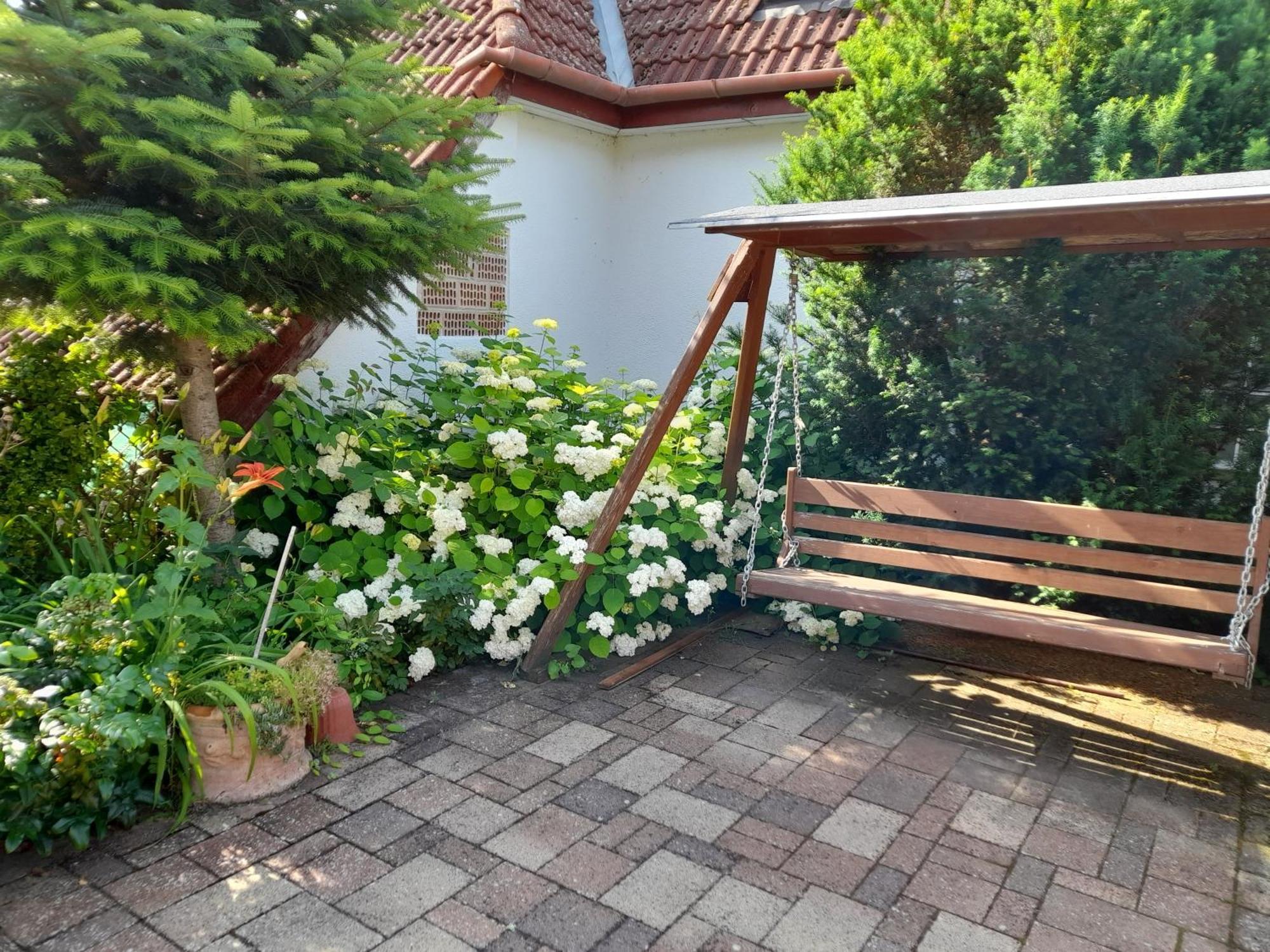 Harmonia Vendeghaz 100 Meterre Az Igali Gyogyfuerdotol Appartement Buitenkant foto