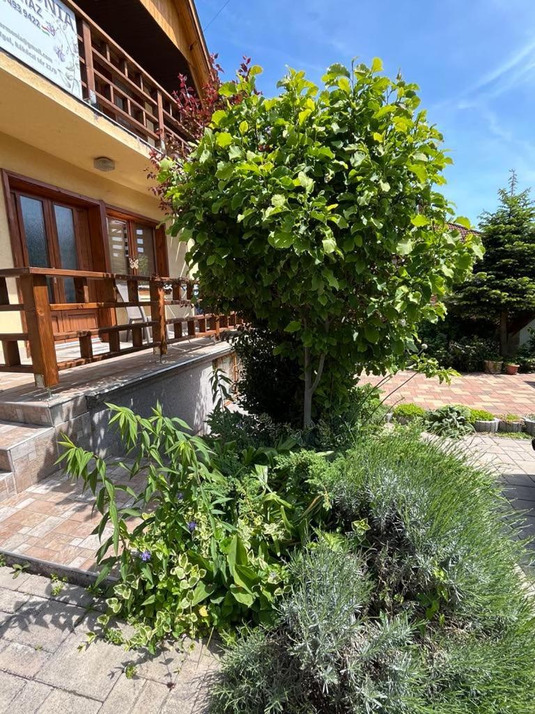 Harmonia Vendeghaz 100 Meterre Az Igali Gyogyfuerdotol Appartement Buitenkant foto